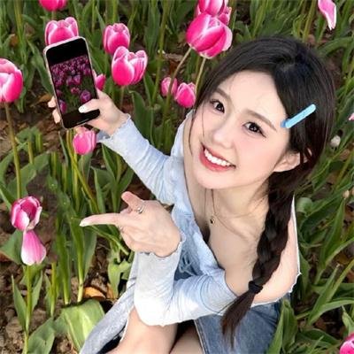 来自收容所的爱