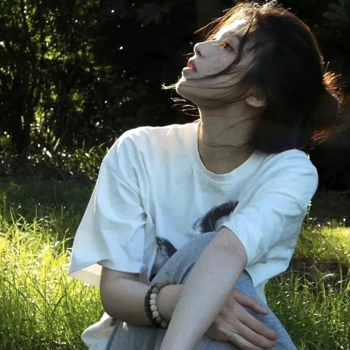 双生赤狐